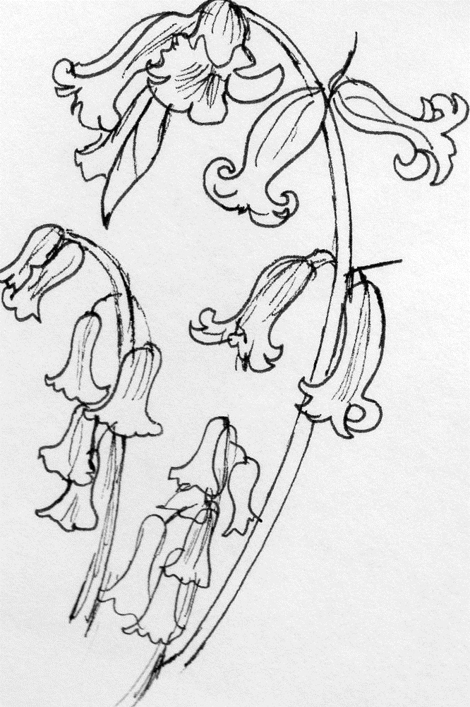 666x1002 Liz Benjeddi Textile Art January 2012 - Bluebell Sketch