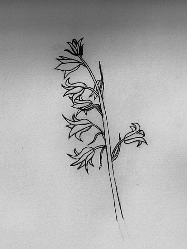 600x800 Blue Bell Sketch Tattoo Tattoos, Bluebell Tattoo - Bluebell Sketch