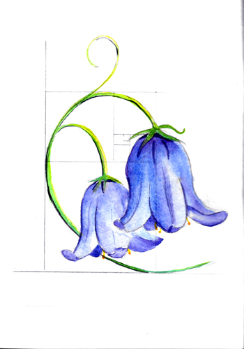 350x500 Bluebell Jo Fox Adventures In Art - Bluebell Sketch