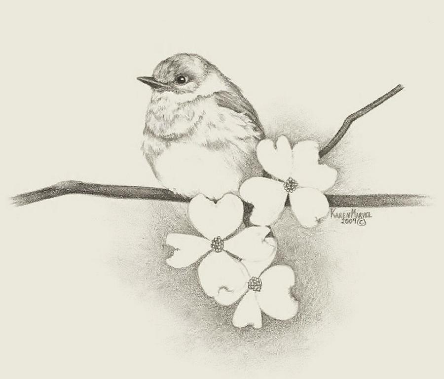 900x769 Bluebird Drawing By Karen E M Standifer - Bluebird Sketch
