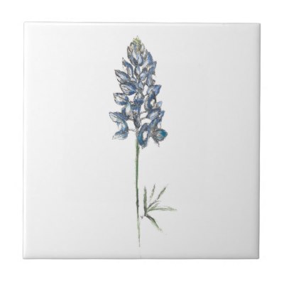 400x400 Texas Bluebonnet Tile - Bluebonnet Sketch