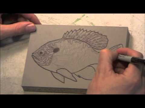 480x360 Bluegill Tfm Reduction Sketching The Block Part 1 - Bluegill Sketch