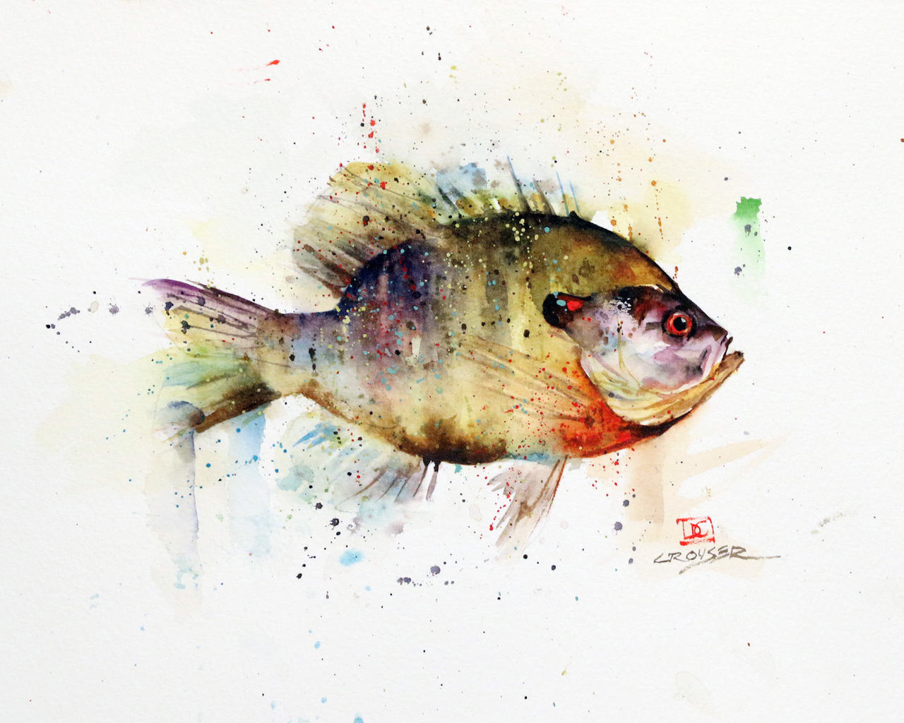 Bluegill Sketch at PaintingValley.com | Explore collection of Bluegill ...