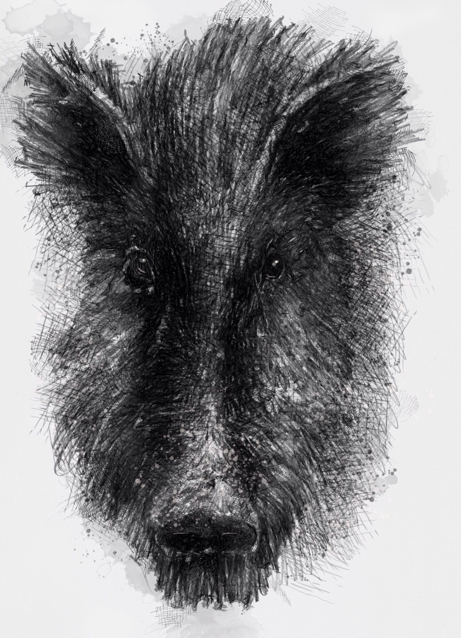 1479x2048 Old Boar Biomorfizm Drawings, Pig Sketch And Sketches - Boar Sketch