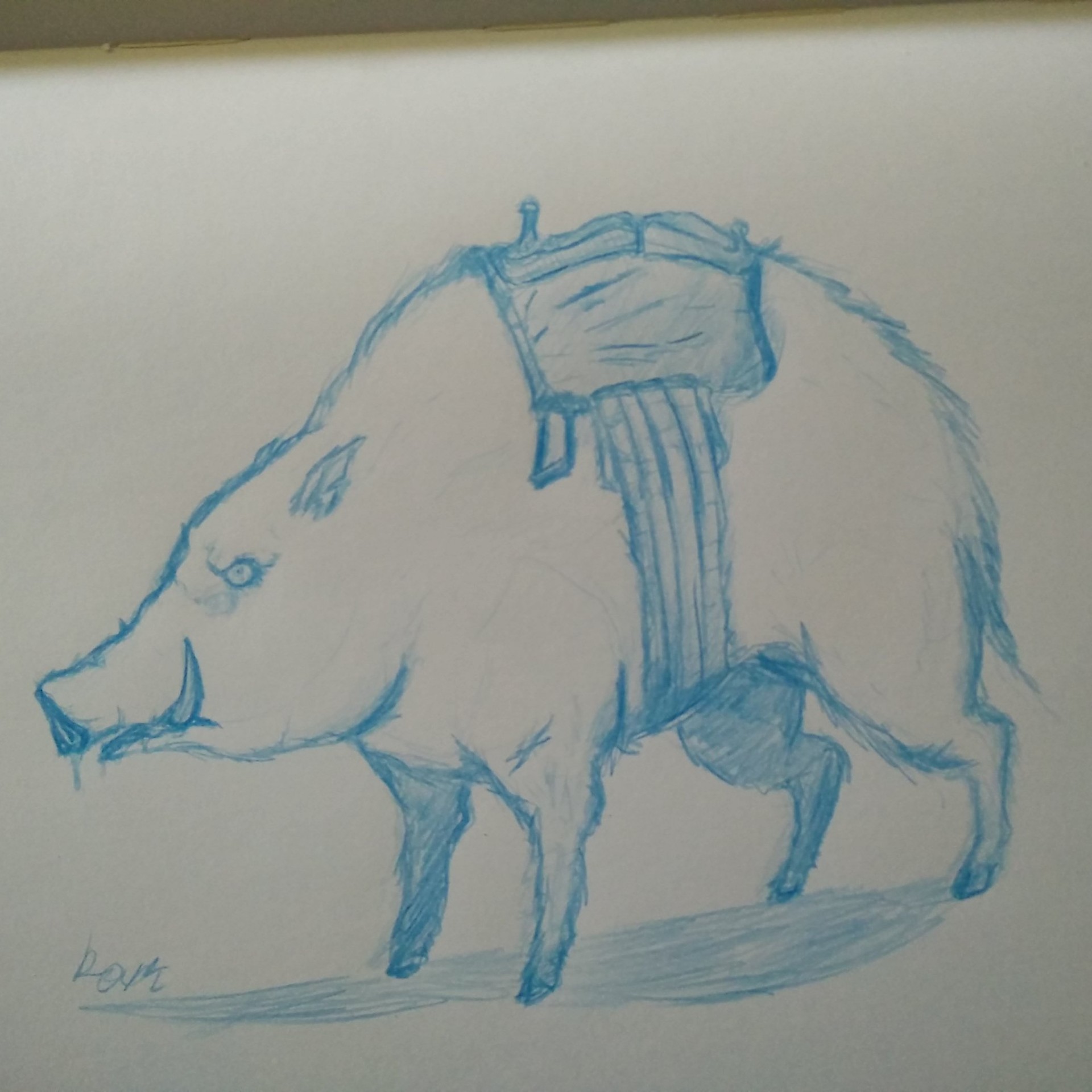 1920x1920 Ram Fine Idan - Boar Sketch