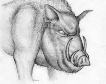 340x270 Wild Boar Drawing Etsy - Boar Sketch