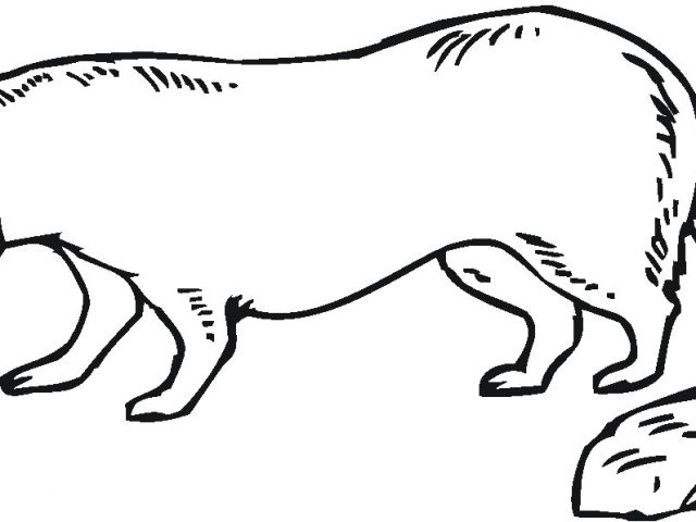 640x480 Coloriage Volcan En Fancy Bob The Builder Coloring Pages - Bob The Builder Sketch