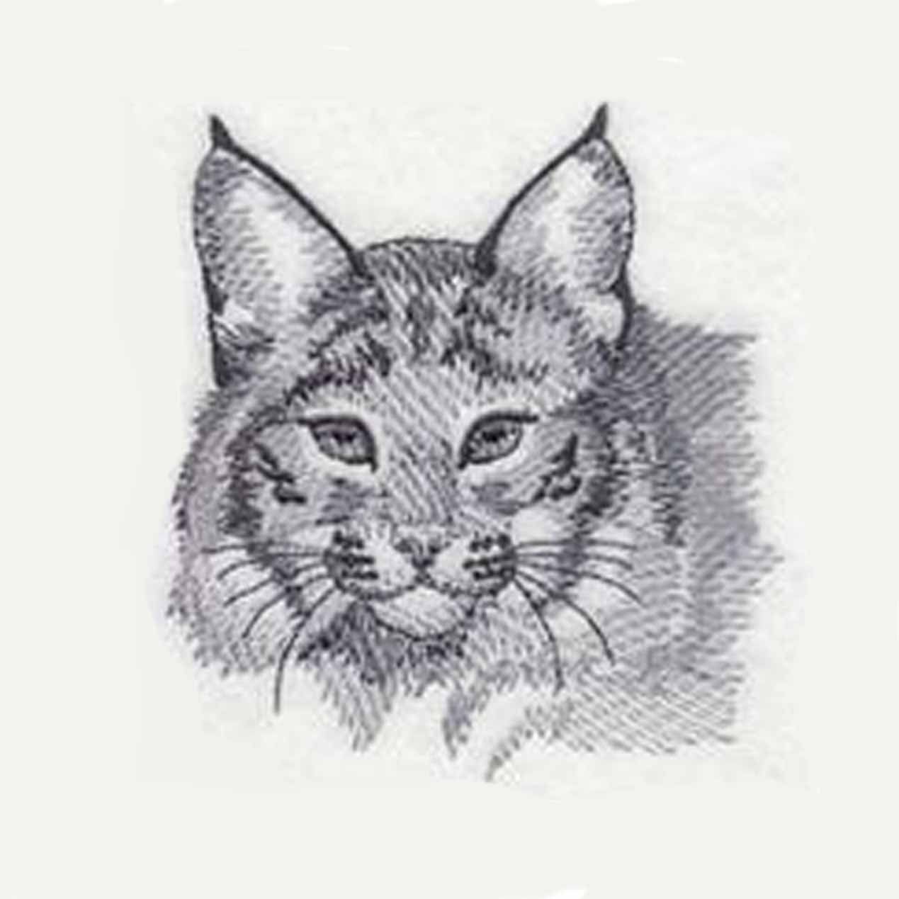 1269x1269 Bobcat Sketch Tea Towel Embroidered Towel Kitchen Towel - Bobcat Sketch