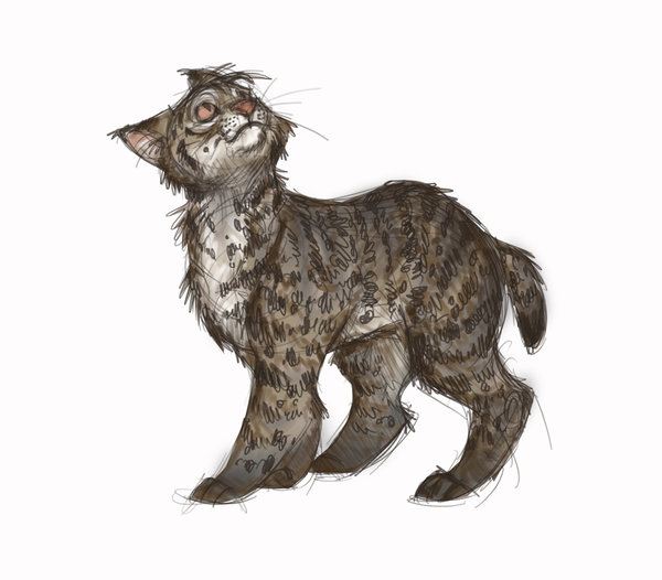 600x526 Bobcat Sketch By Sandora - Bobcat Sketch
