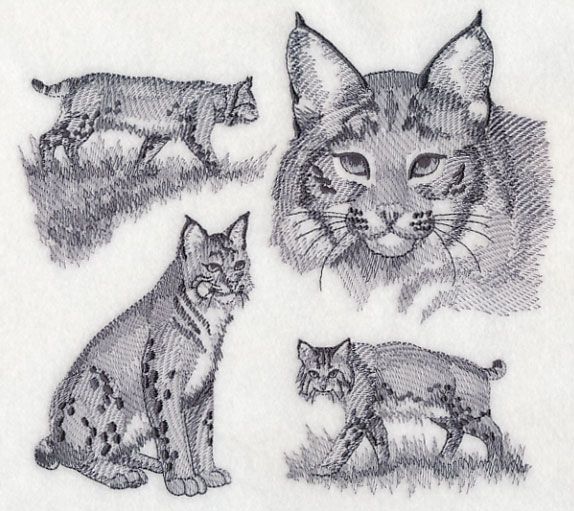 574x511 Bobcat Sketch Design (J9199) From Sketches - Bobcat Sketch