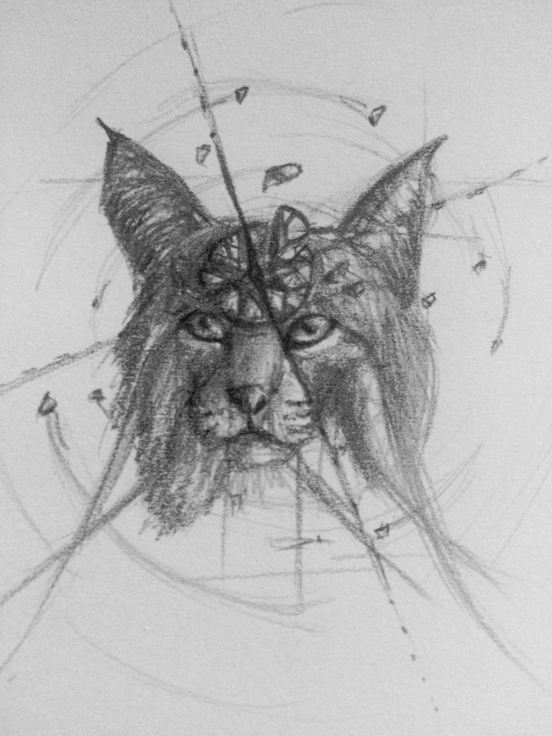 774x1032 Lost Bobcat Sketch By Cakecatlady - Bobcat Sketch