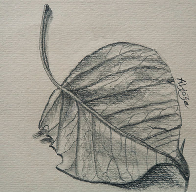 400x391 Bodhi Tree Leaf By Agapetos - Bodhi Tree Sketch