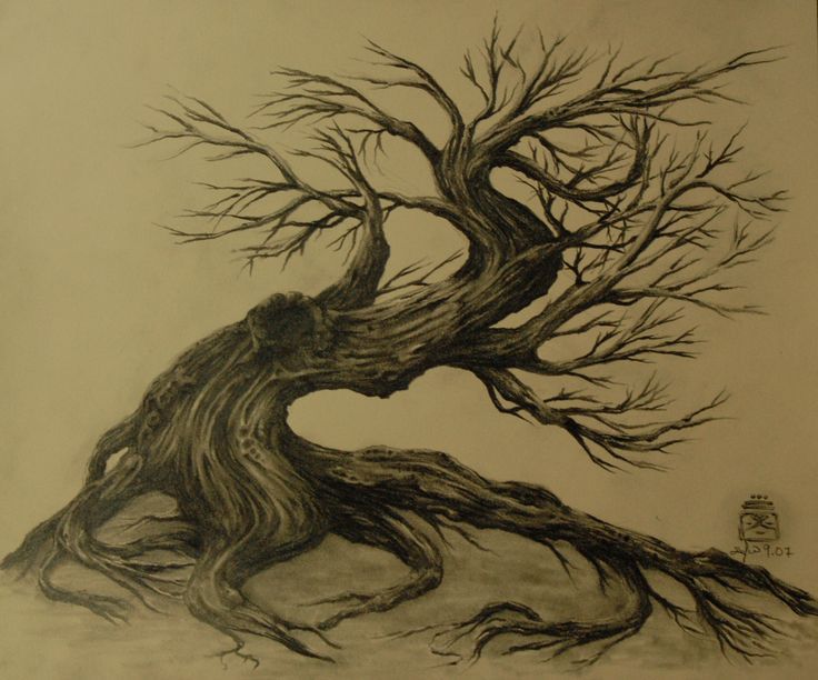 736x612 Dead Bodhi Tree - Bodhi Tree Sketch