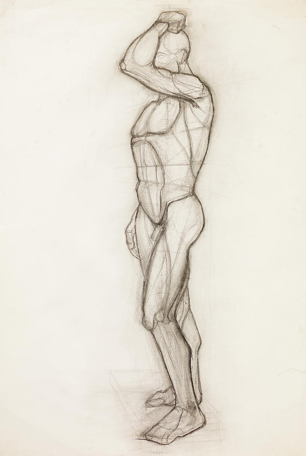 605x900 Human Body Anatomy Study Drawing By Dan Comaniciu - Body Anatomy Sketch