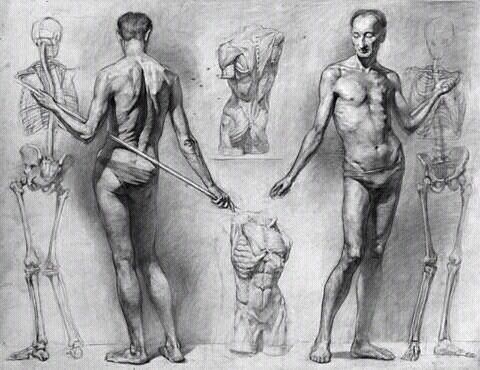 480x370 Pin By Ruben Kara On Anatomy Draw, Anatomy And - Body Anatomy Sketch