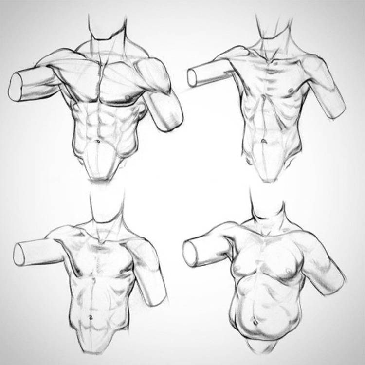 750x750 What Are The Fundamentals Of Art (And How To Learn Them) - Body Anatomy Sketch