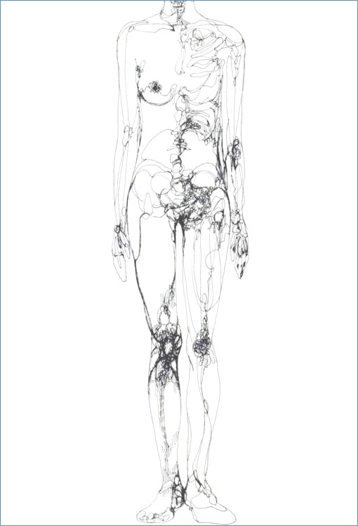 510x749 Woman Body Anatomy - Body Anatomy Sketch