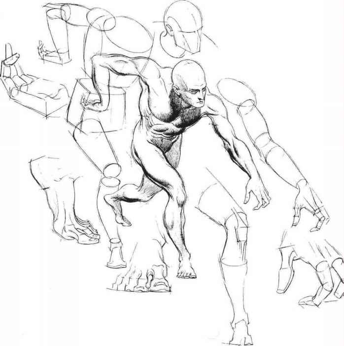 698x702 Body Figure Drawing - Body Figure Sketch