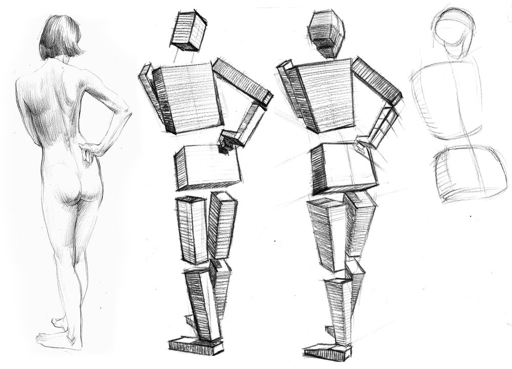 1000x721 L8 - Body Form Sketch