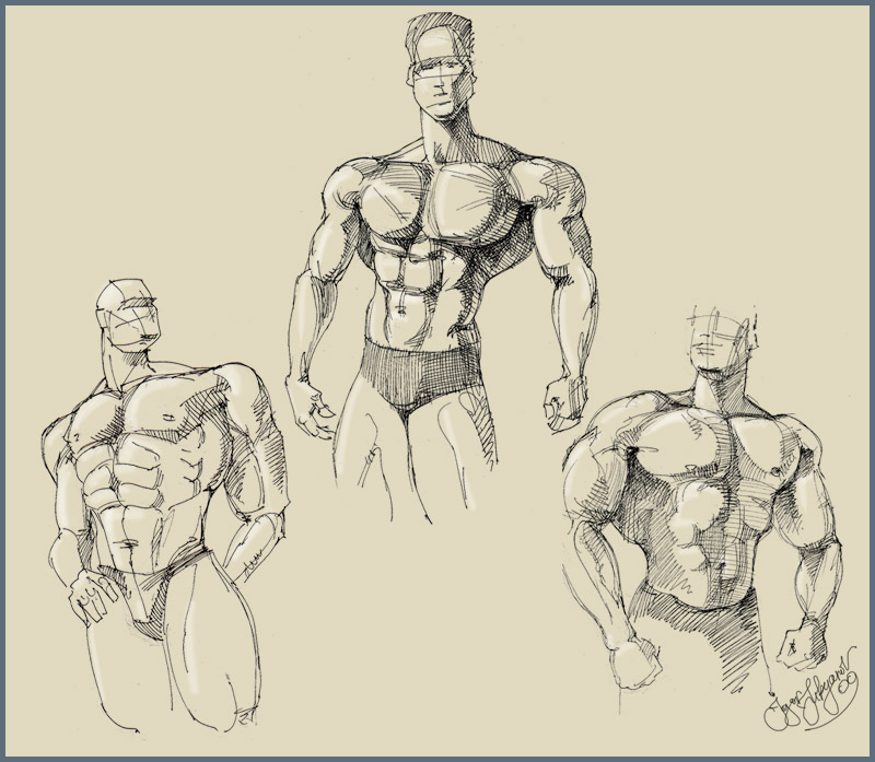 800x697 Strong Body Men Sketch - Body Image Sketch