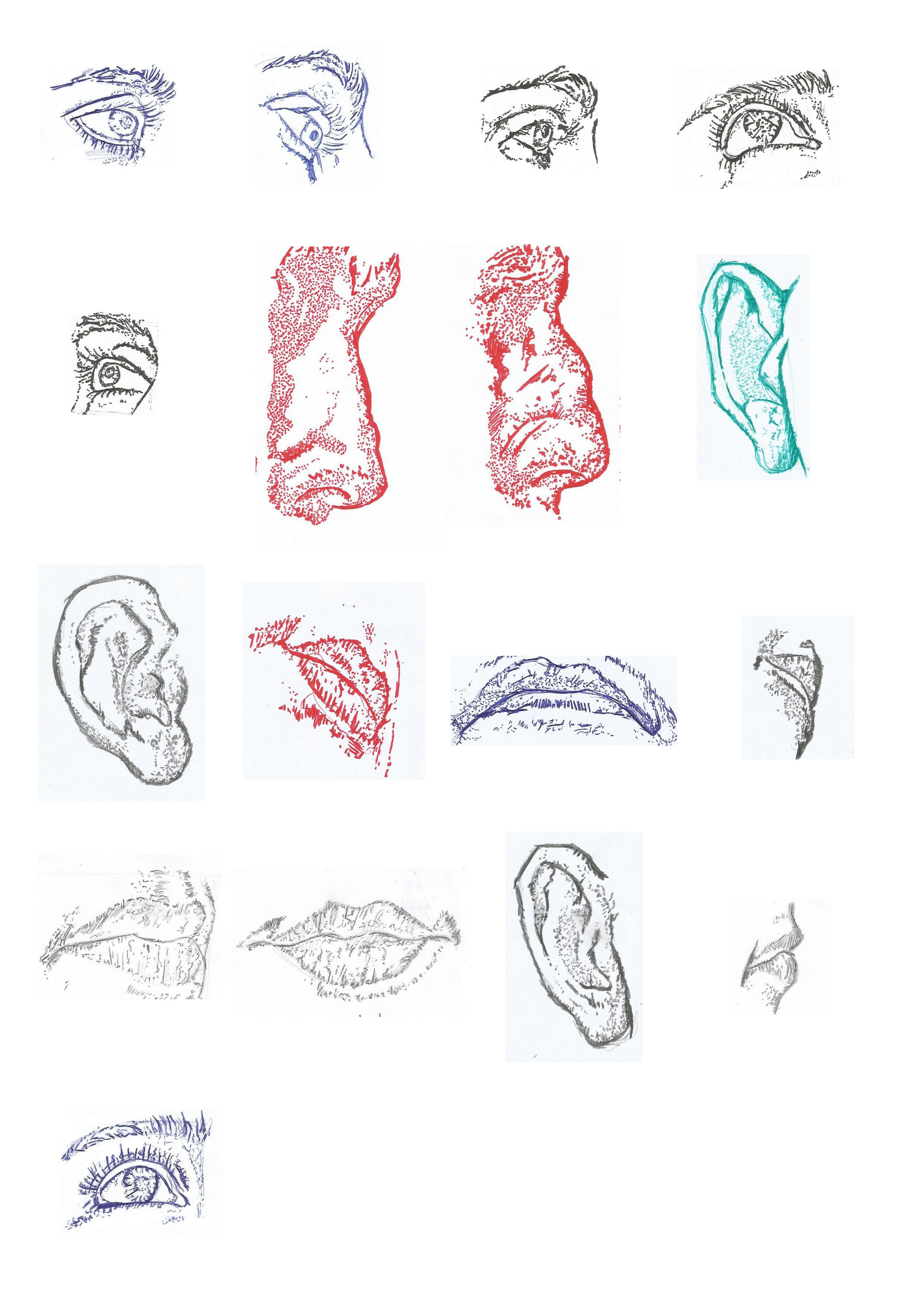 1920x2716 William C. Amp Emeline R. - Body Parts Sketch