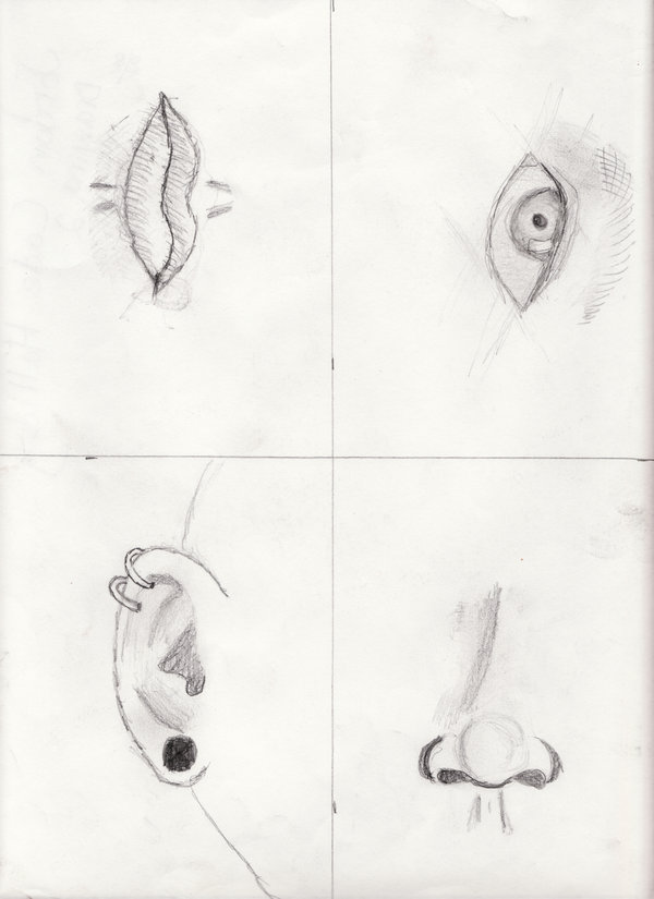 600x825 Sketch Of Body Parts By Xacrox - Body Parts Sketch