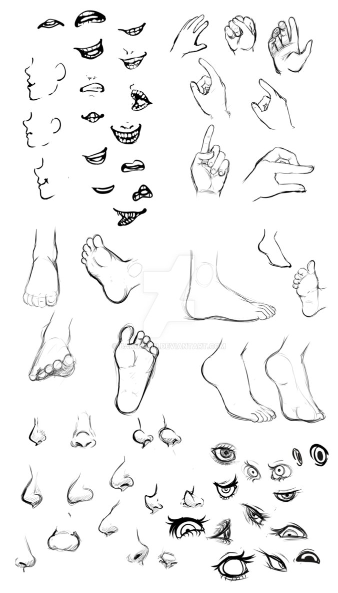 body parts sketch