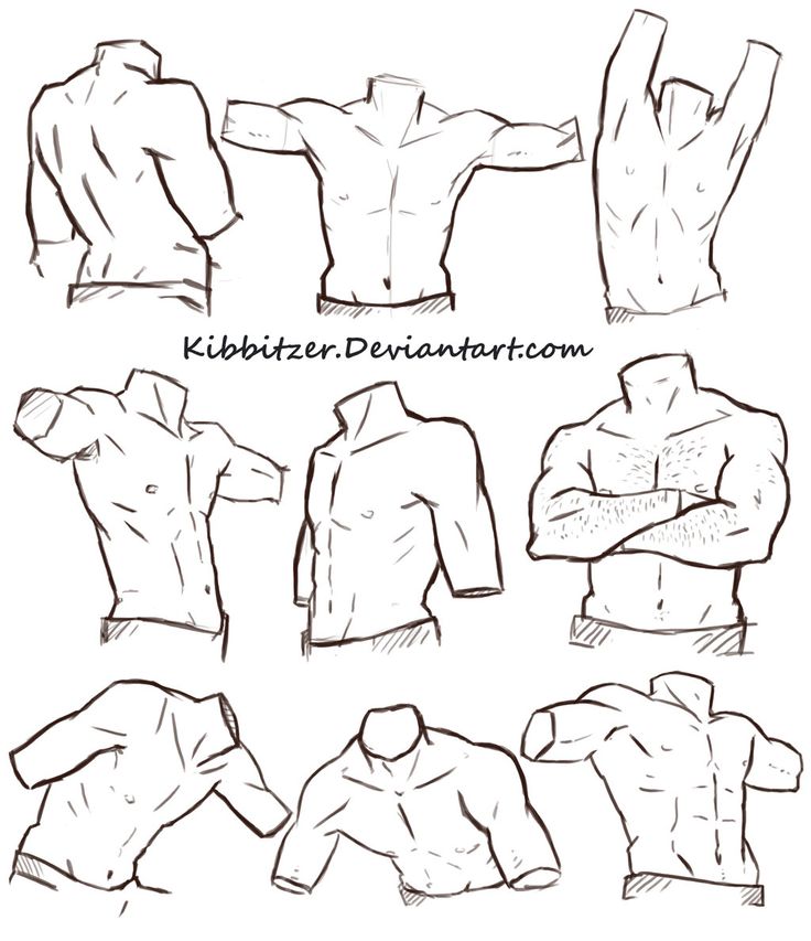 Featured image of post Sketch Anime Male Anatomy Reference A simple reference guide that explores the difference techniques you can use to create anime characters