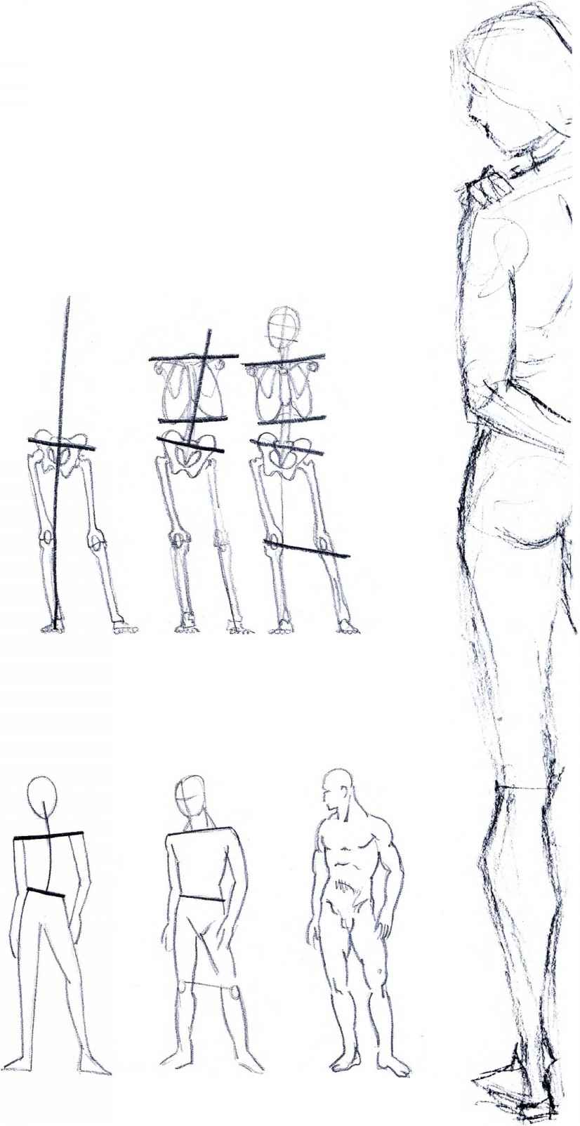 826x1604 Pose - Body Poses Sketch