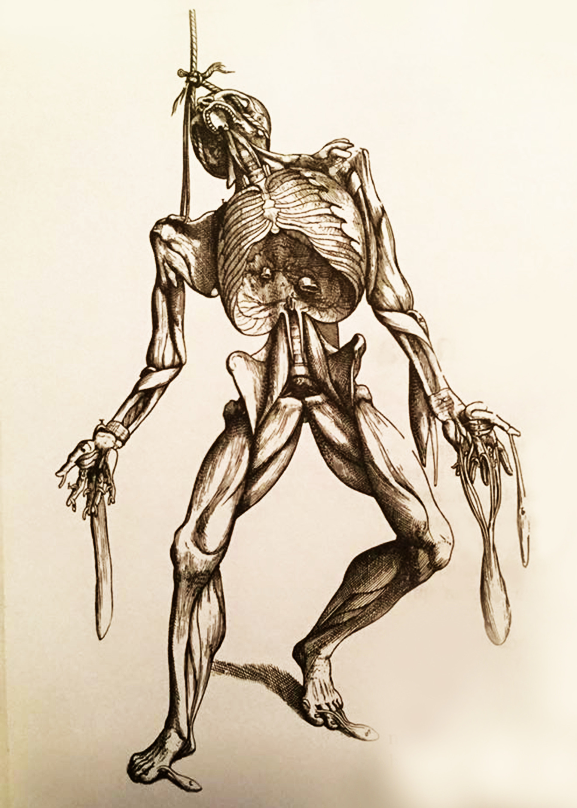 1920x2688 Ignacio Zurita - Body Sketch