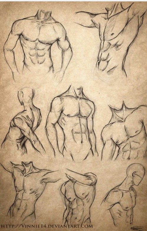500x783 Male Body Sketches Sketchesdrawingstips - Body Sketch Art
