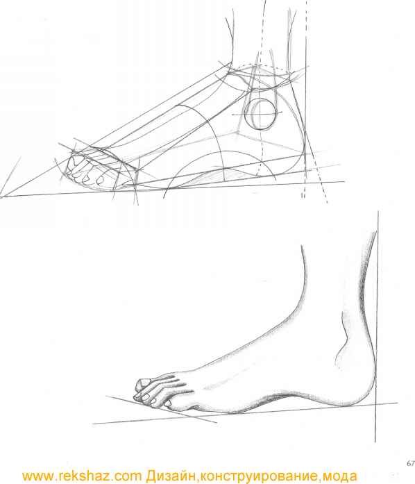 598x697 The Mouth Analysis And Structure - Body Sketch Outline