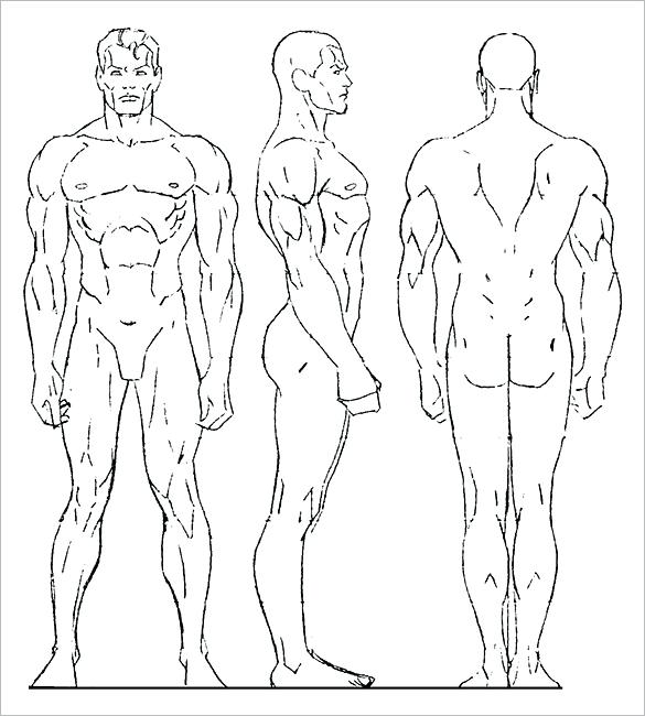585x650 Download Figure Sketch Different Poses Template For Drawing - Body Sketch Template