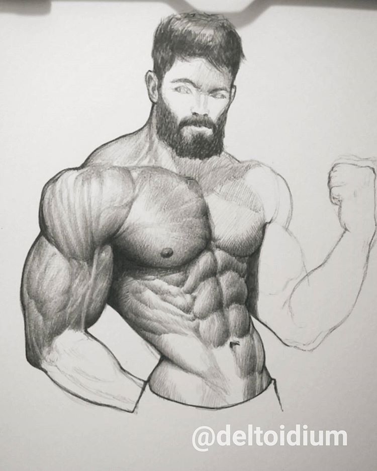 750x937 Dat Leonidus Beard. - Bodybuilder Sketch