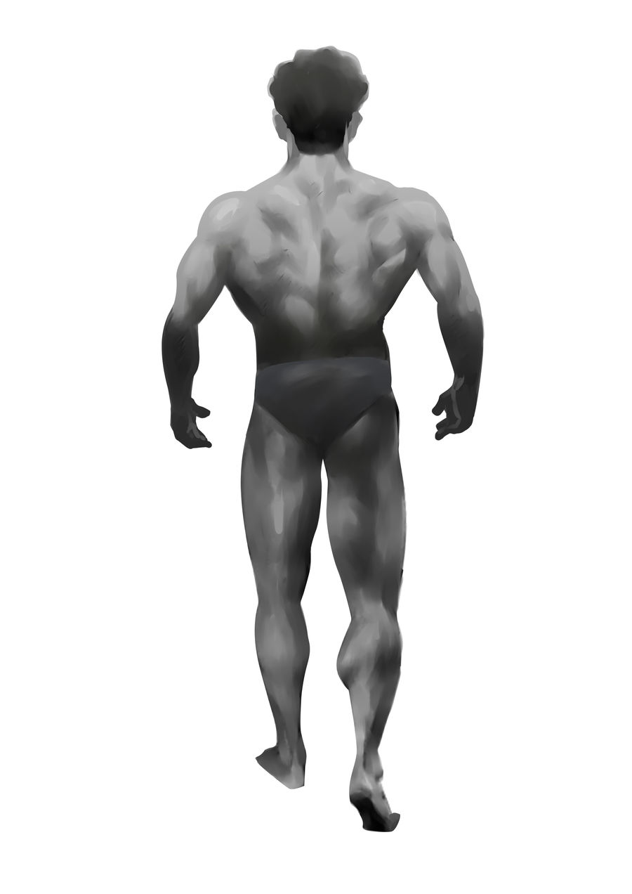 900x1272 Entry - Bodybuilder Sketch