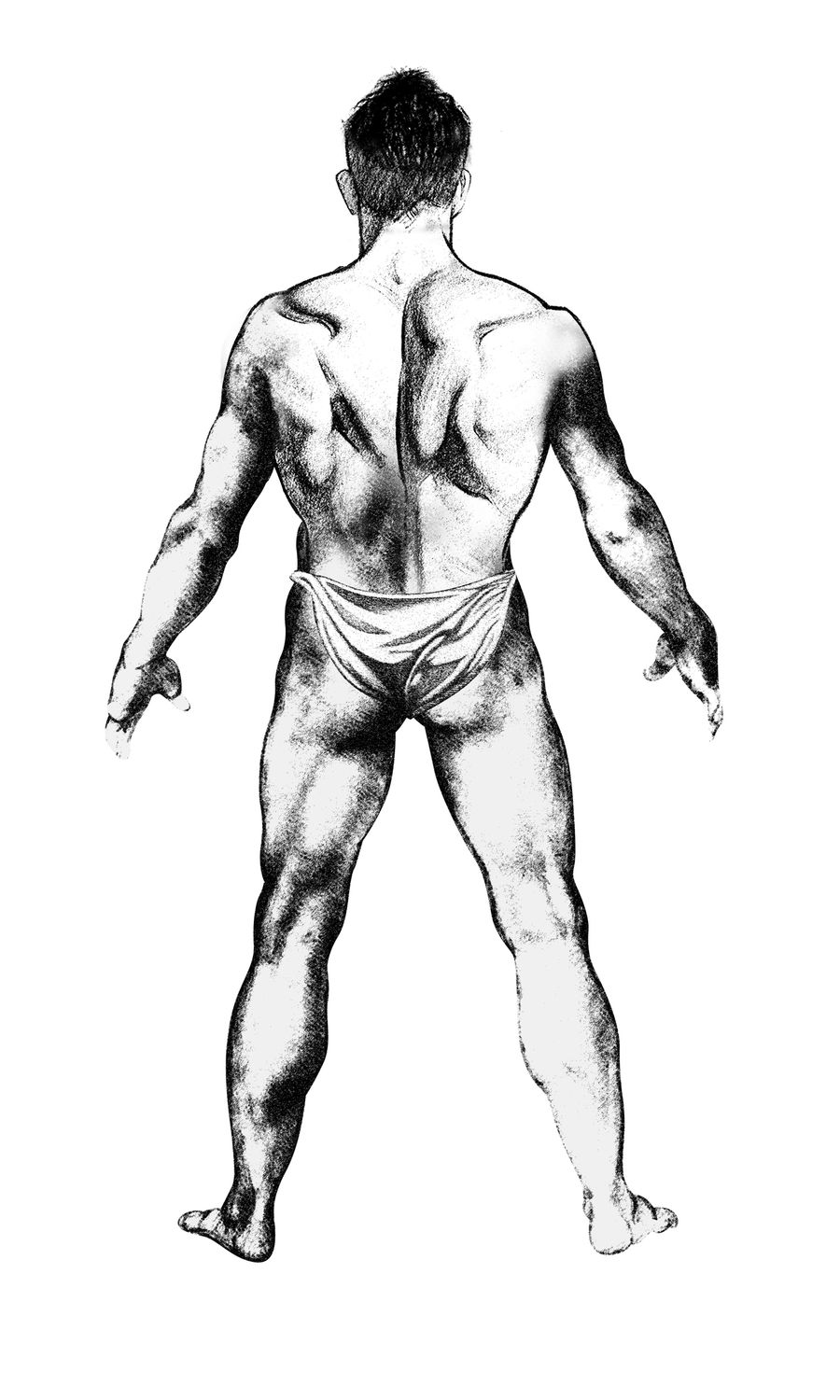 900x1500 Entry - Bodybuilder Sketch