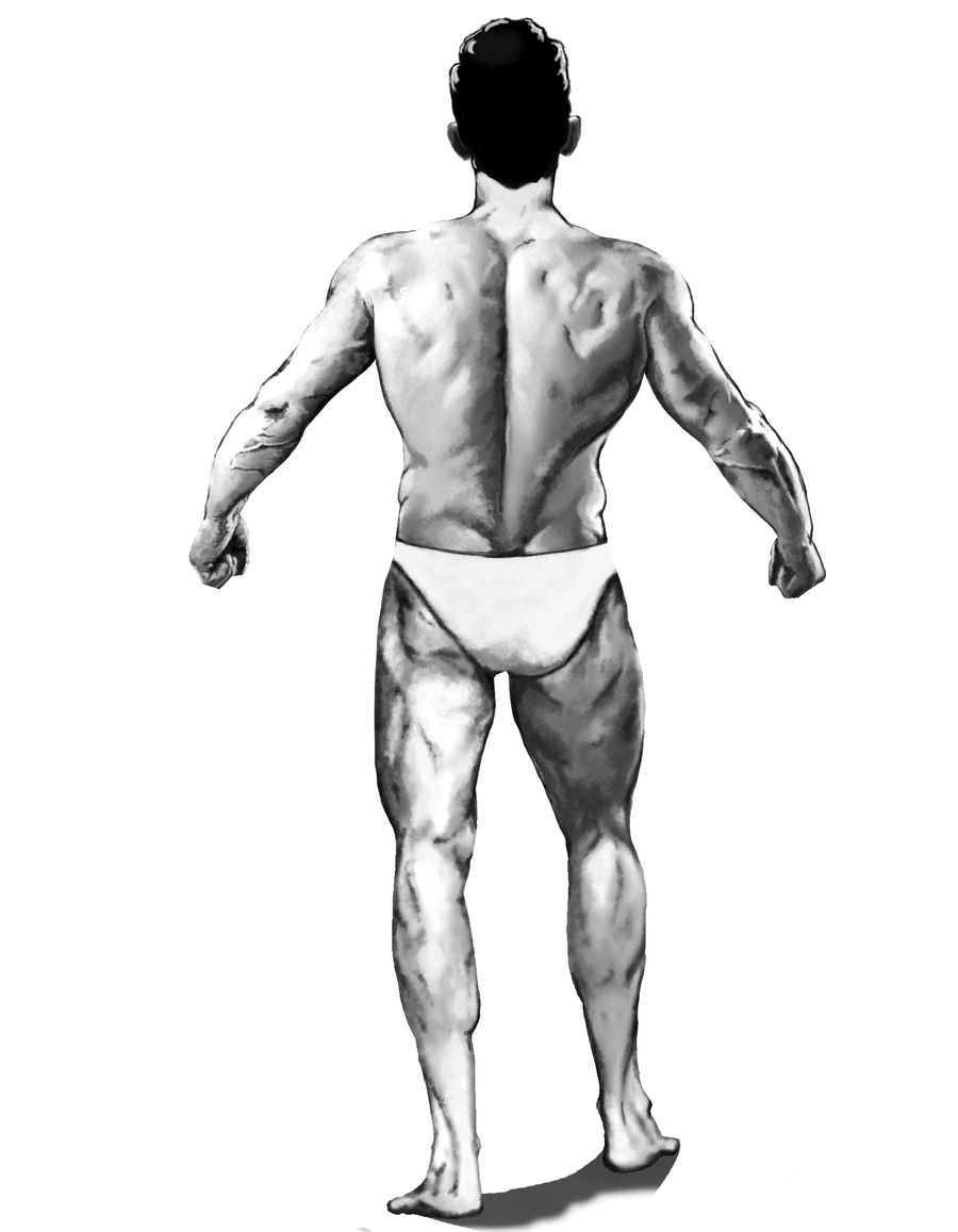 900x1157 Entry - Bodybuilder Sketch