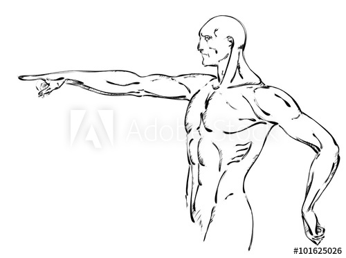 500x373 Sketch Vector Illustration.bodybuilder. Strong Muscular Man. - Bodybuilder Sketch