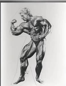 232x300 Bodybuilder Dorian Yates 6x Mr Olympia Bodybuilding Muscle Photo - Bodybuilder Sketch