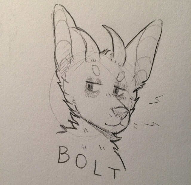 640x621 Bolt Sketch By Cattrash - Bolt Sketch