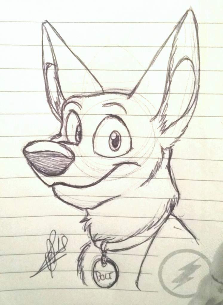 747x1024 Bolt Biro Sketch Disney Amino - Bolt Sketch