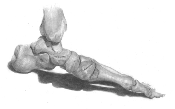 600x372 Drawing Basics Understanding Anatomy By Drawing The Foot - Bone Sketch