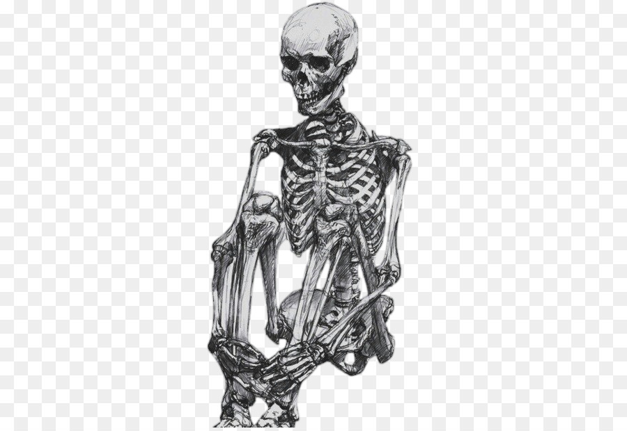 900x620 Human Skeleton Drawing Human Body Sketch - Bone Sketch