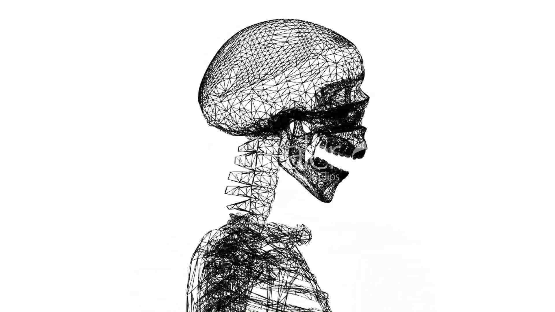 1920x1080 Rotation Of 3d Skeleton.skull,anatomy,human,medical,body,biology - Bone Sketch