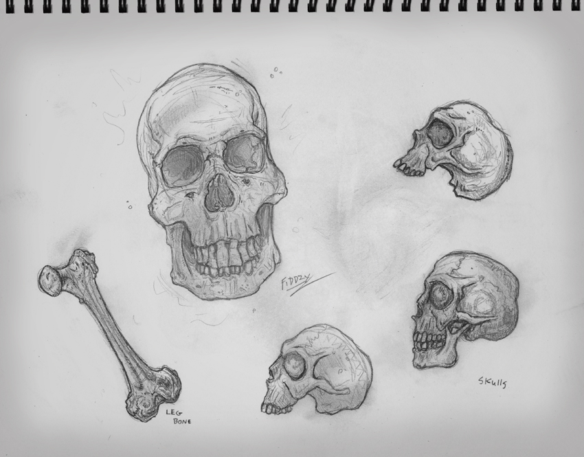850x665 Skeleton Fiddzydesign - Bone Sketch