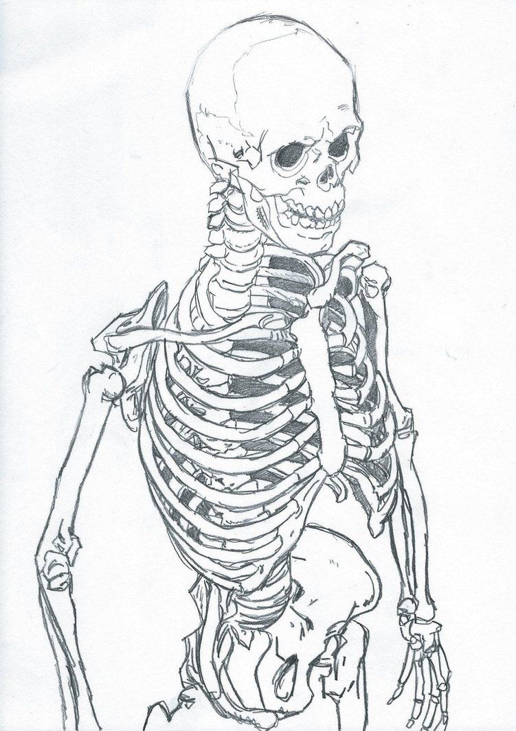 751x1065 Skeleton Sketch 0020 By Carlmalbern Save My Mortal Soul - Bone Sketch