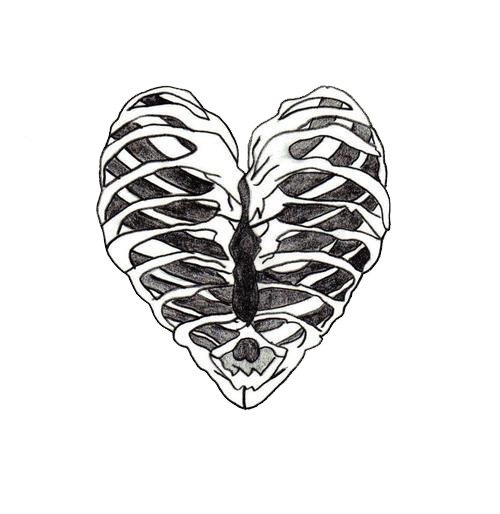 500x514 Hipster Dibujo - Bone Sketch