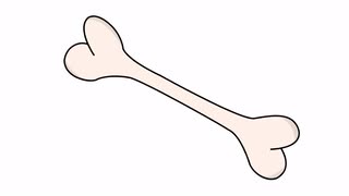 320x180 Bone Medical Sketch Illustration Hand Drawn Animation Transparent - Bone Sketch