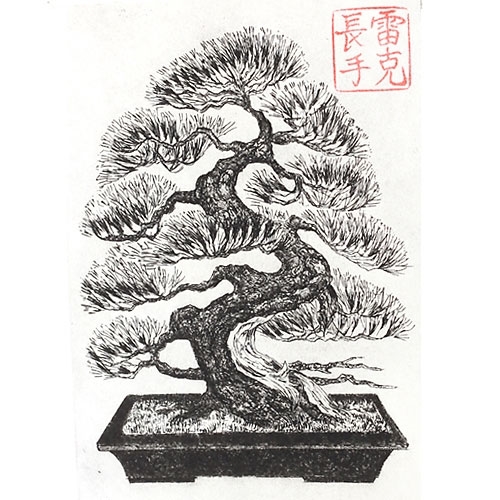 500x500 Bonsai Print Drawing - Bonsai Sketch