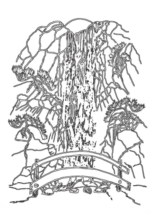 642x900 Bonsai Waterfall - Bonsai Sketch